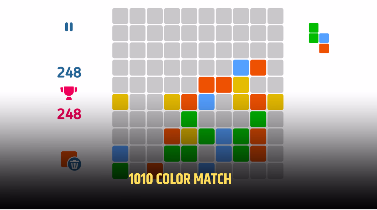 1010 Color Match